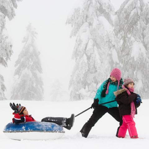 Kinderen spelen in de sneeuw 