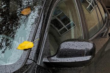 Vochtige auto met herfstbladeren