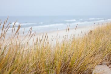 wandelen-duinen