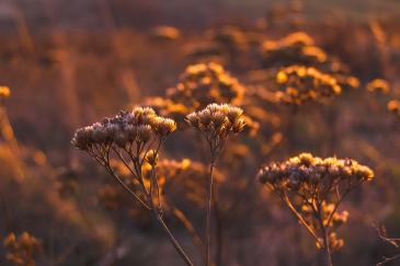 Wat te doen in de herfst bij goed weer in 2023