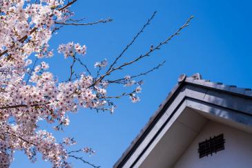 Voorjaarsonderhoud van je huis Voorjaarsonderhoud van je huis