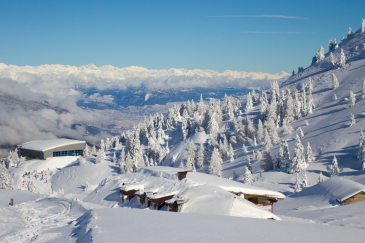 Uitzicht op skigebied Paganella bij Andalo: besneeuwde dennen, bergstation en Dolomieten onder een blauwe lucht.