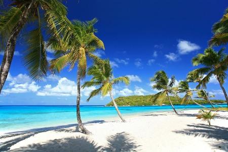 Tobago verrassende reisbestemming Tobago eiland