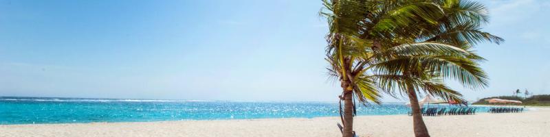 Doorlopende kortlopende reisverzekering Strand met palmbomen