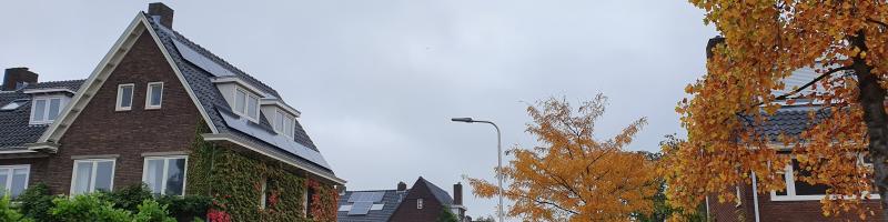 Straat met huizen en boom in herfstkleuren