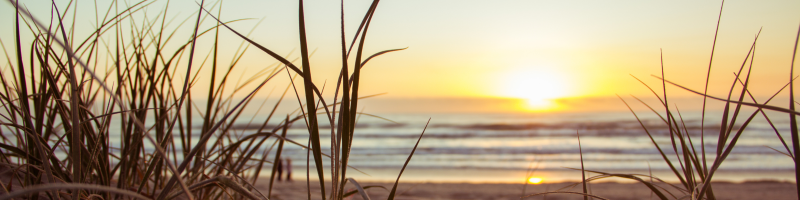 Uitzicht op strand vanaf de duinen