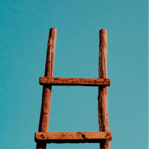 ladder