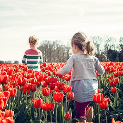 Kinderen tussen de tulpen