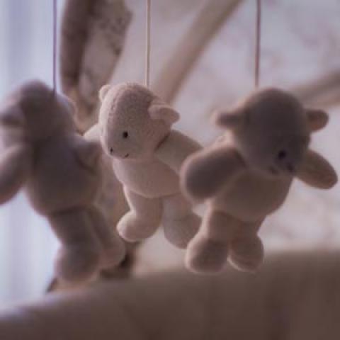 vergoeding kraamzorg 2021 Baby speeltjes