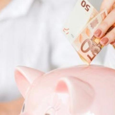 verschillen budgetpolis naturapolis geld in spaarvarken