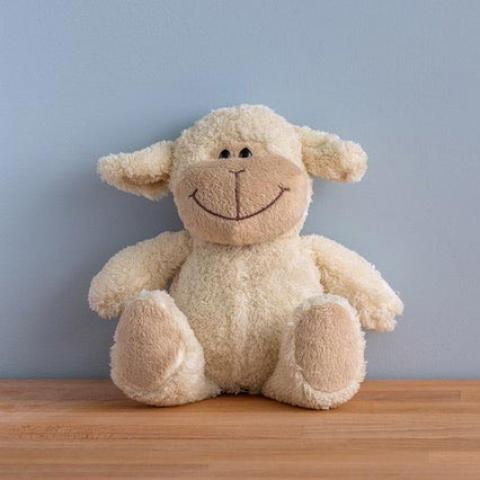 zwangerschap en zorgverzekering 2021 knuffel voor baby