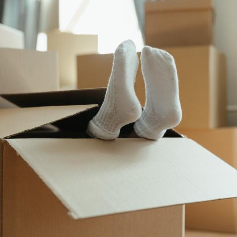 Woning Voeten uit een verhuisdoos