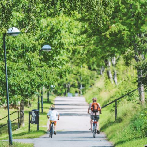Samen nieuwe route fietsen Vader en zoon op de fiets