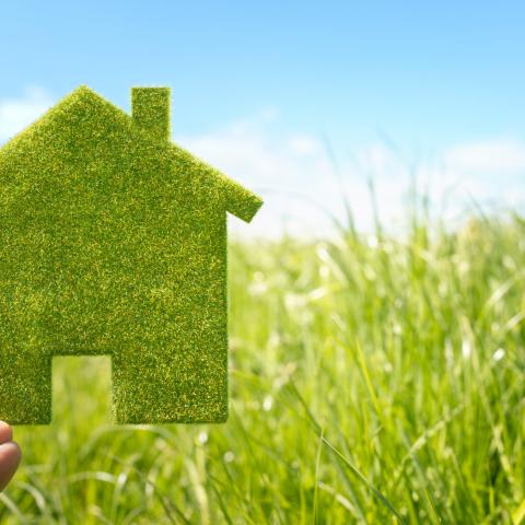 Groen huis met gras als achtergrond