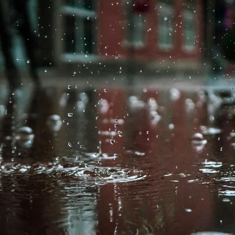 waterschade door regen waterschade door regen