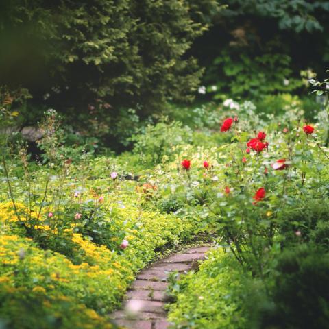 Weinig tegels in een duurzame tuin