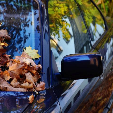 Auto met herfstbladeren