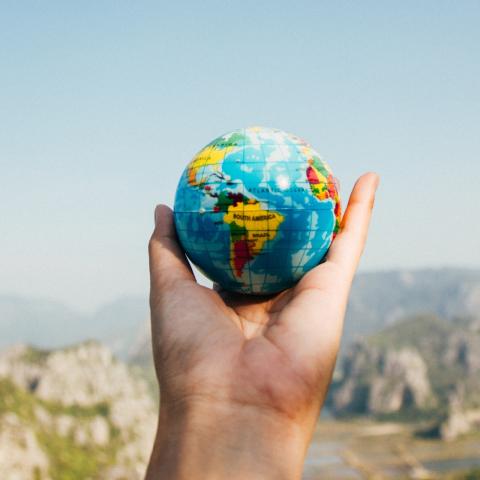 reizen-wereldbol