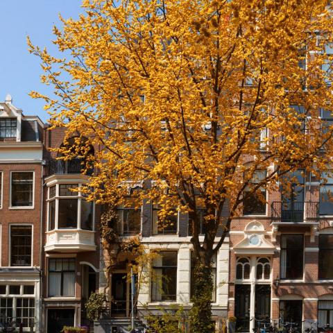 Woningen in de herfst