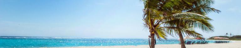 Reisverzekering palmboom op het strand