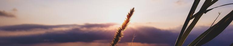 Promovendum ontzorgt Zon schijnt door wolken