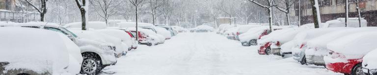 Winter Winter