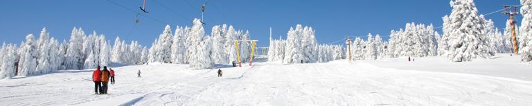 Alternatieve wintersport bestemmingen