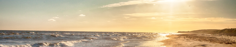 Zon, zee, strand en duinen