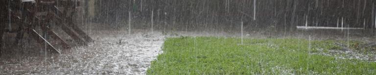 Harde regen in de tuin