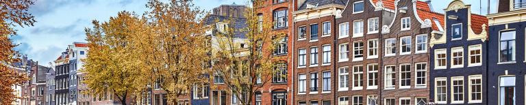 Rijtjeshuizen in de herfst