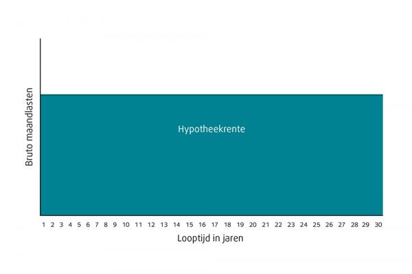 Aflossingsvrije hypotheek